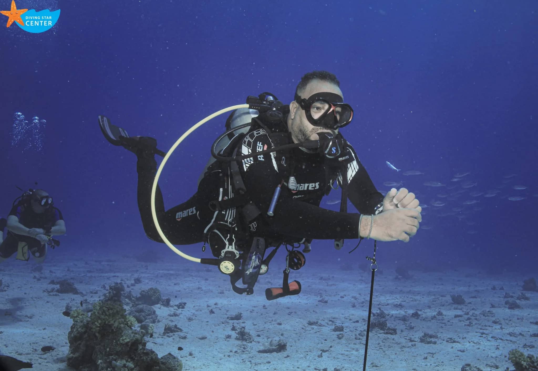 Introduction Dive supporting visual one