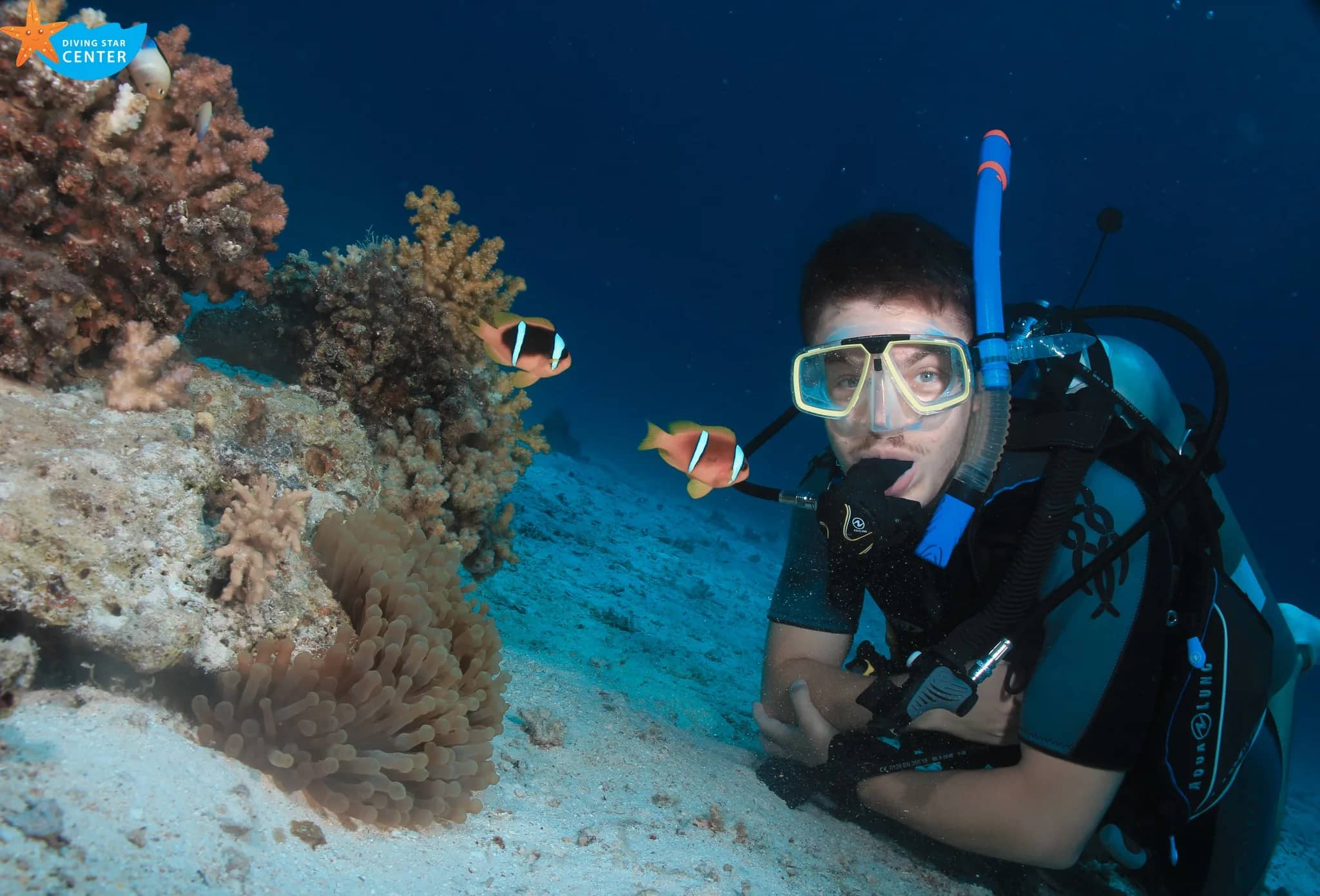Introduction Dive supporting visual two